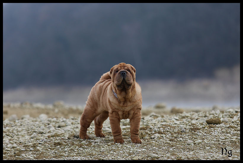 A Demain et Au Dela - Soleil du Nuorilang