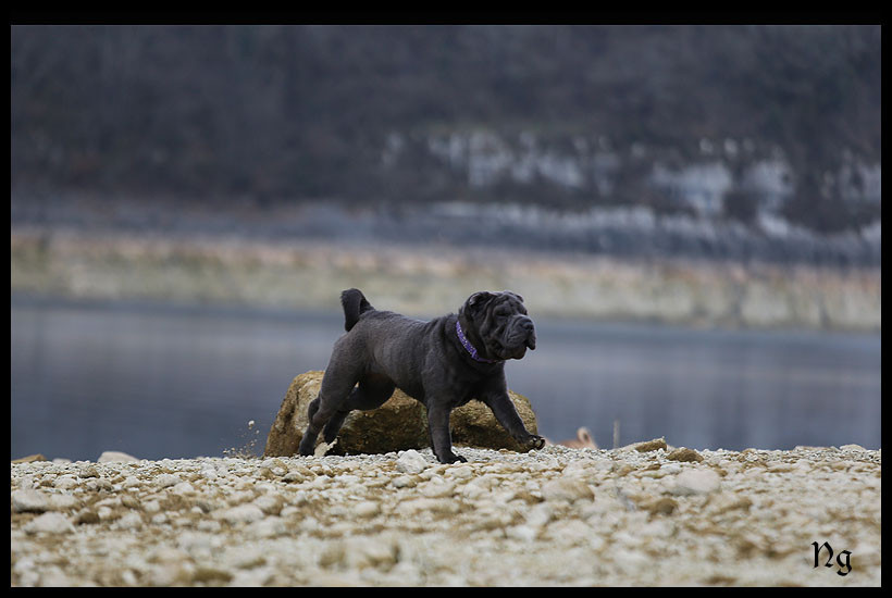 Very Berry Bloody Marry du Nuorilang